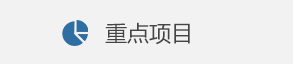 重点项目