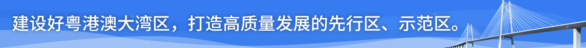 建设好粤港澳大湾区，打造高质量发展的先行区、示范区。