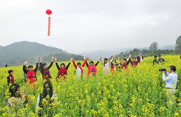 阳春三月 油菜花开 梅州大埔举行2019年坪山梯