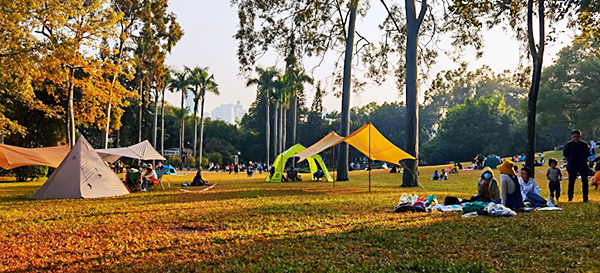 市民在麓湖搭帐篷游玩