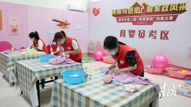 育婴项目选手.jpg