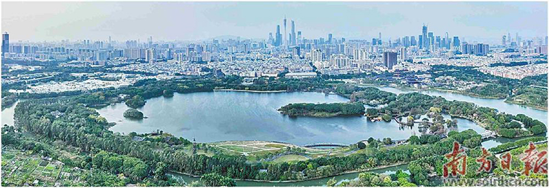 广州海珠国家湿地公园.jpg