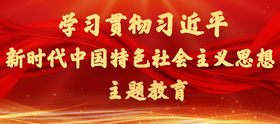 学习贯彻习近平新时代中国特色社会主义思想主题教育