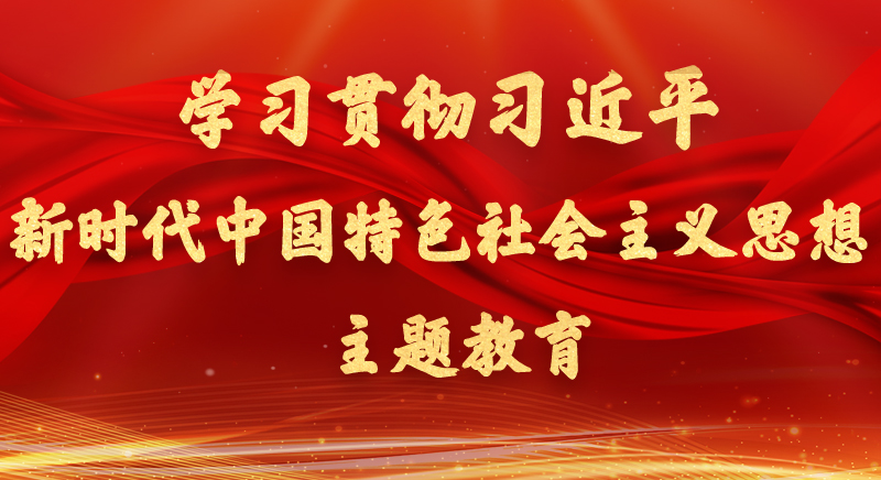 学习贯彻习近平新时代中国特色社会主义思想主题教育