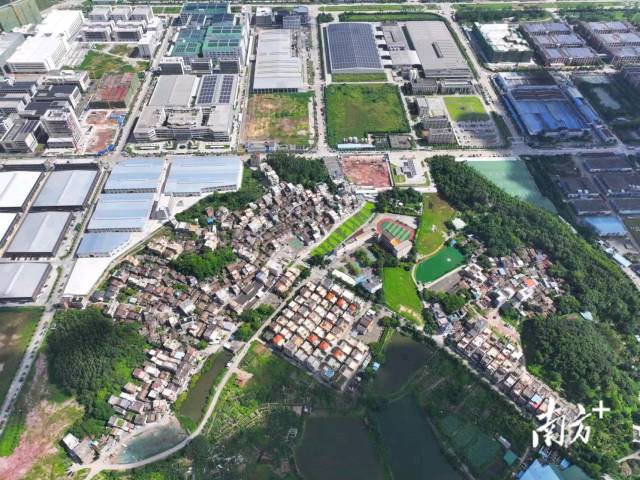 江门蓬江.jpg