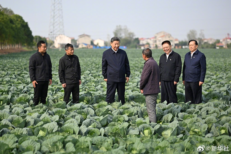 图5.jpg