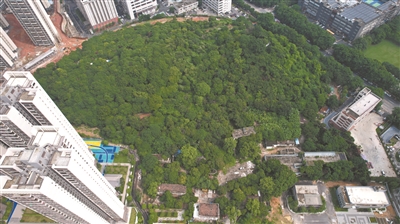 喇山遗址全景.jpg