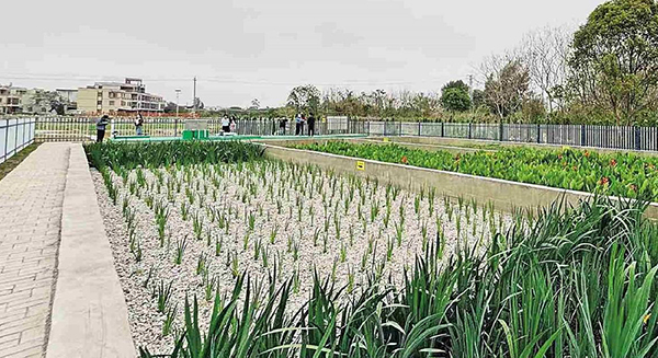 潮州饶平“一村一策”实施农村生活污水治理提升 投资省下来 风貌美起来