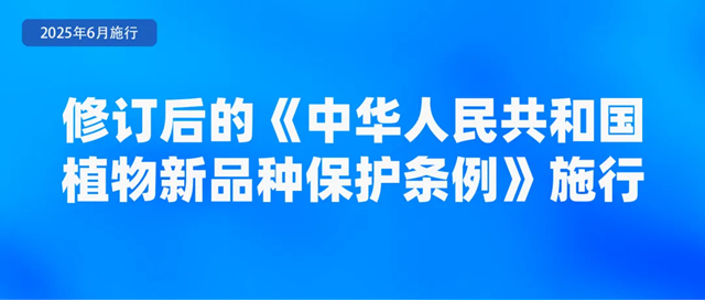图7.jpg