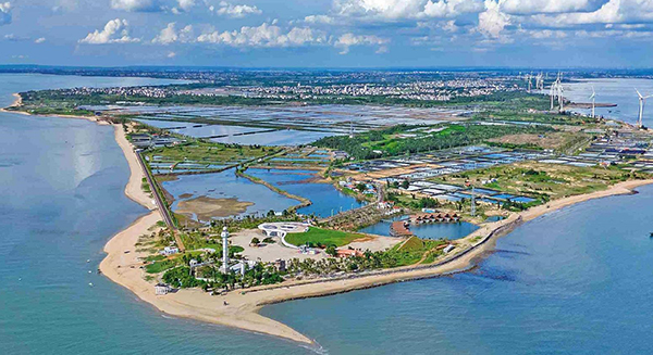 湛江奋力推进“百千万工程” 产业筋骨壮 城乡颜值新